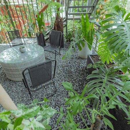 Hilly Hostel Да Лат Екстериор снимка