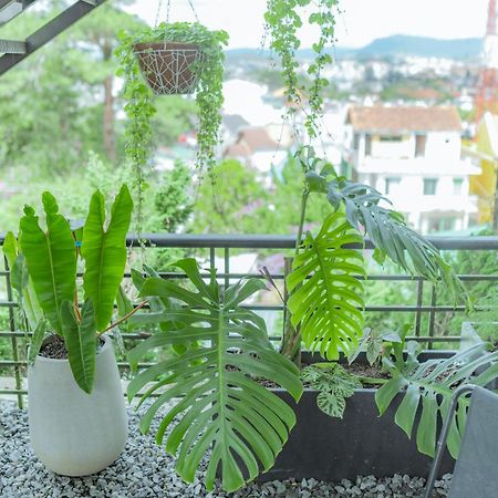 Hilly Hostel Да Лат Екстериор снимка