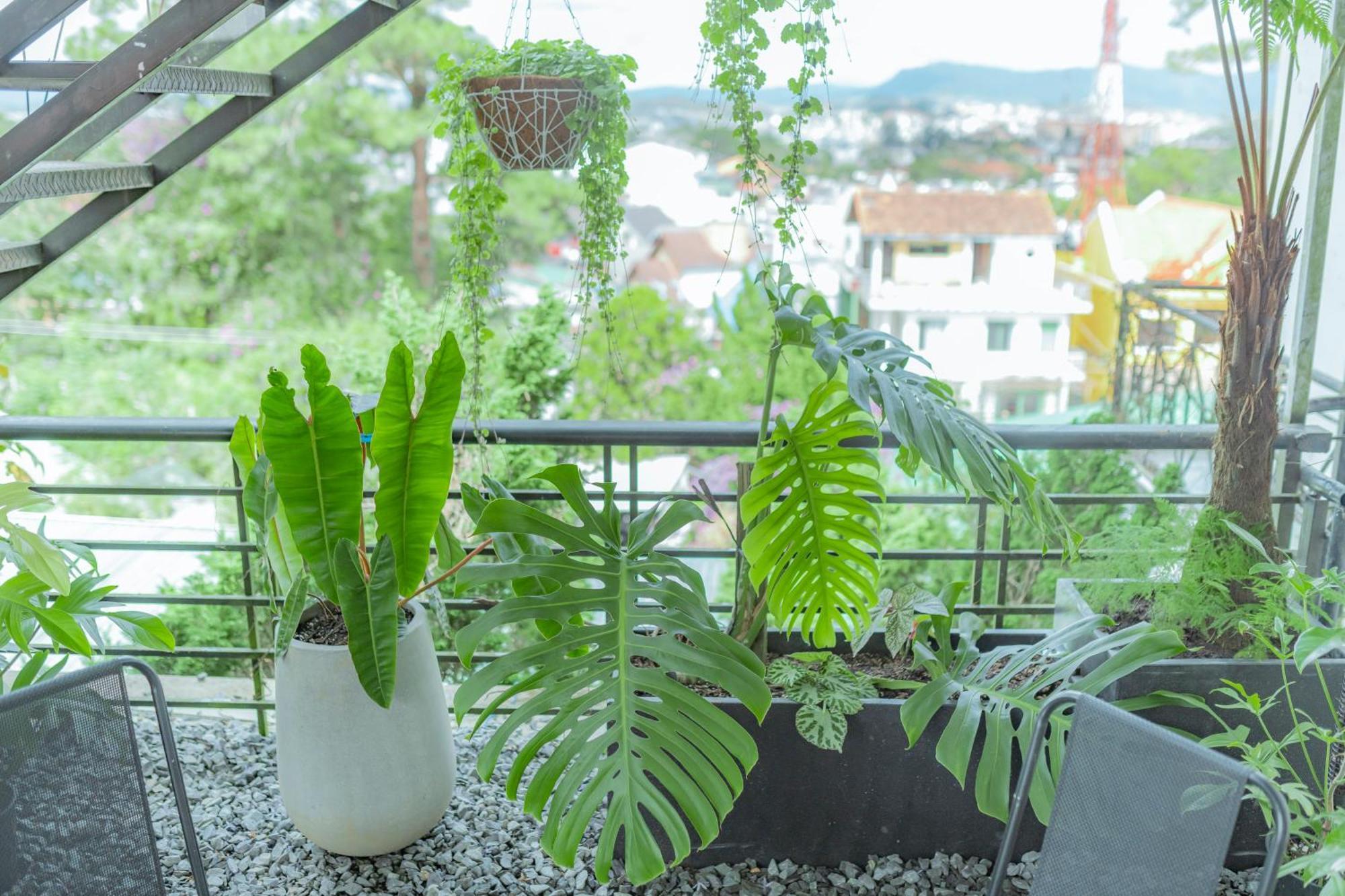Hilly Hostel Да Лат Екстериор снимка